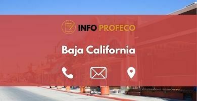 Oficinas Profeco Baja California