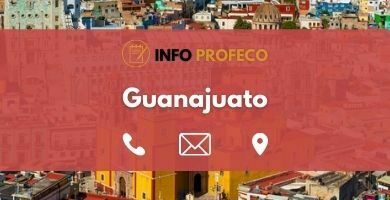 Oficinas Profeco Guanajuato