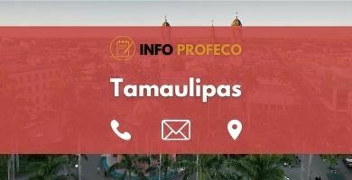 Oficinas Profeco Tamaulipas