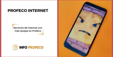 PROFECO Internet