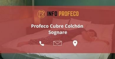Profeco_Cubre_Colchón_Sognare