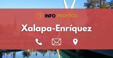 oficina profeco xalapa-enríquez